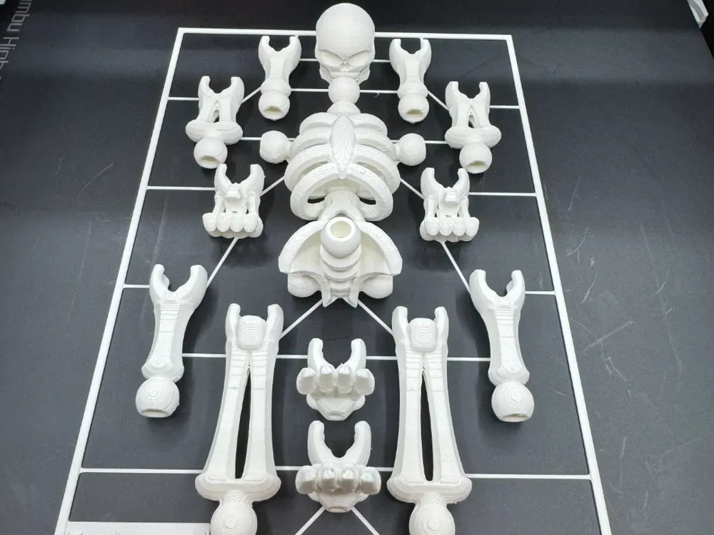 Esqueleto armable 3D puzzle - kit de piezas blancas para ensamblar 20x13cm